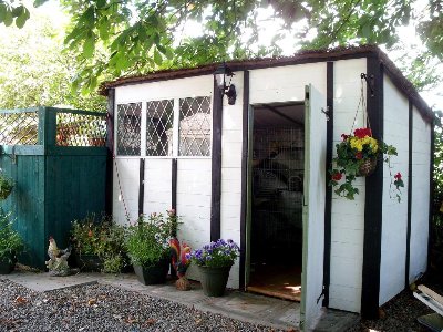 rabbits,guinea pigs,ferrets,chinchillas,hamsters,mice