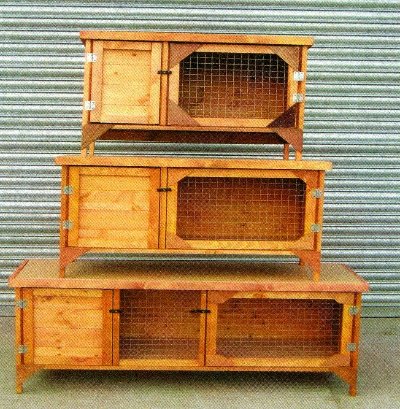 rabbits,guinea pigs,ferrets,chinchillas,hamsters,mice