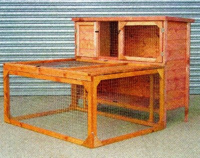 rabbits,guinea pigs,ferrets,chinchillas,hamsters,mice