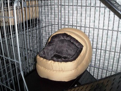 rabbits,guinea pigs,ferrets,chinchillas,hamsters,mice