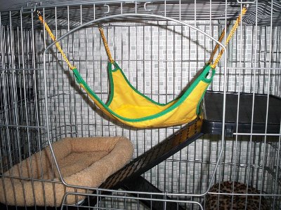rabbits,guinea pigs,ferrets,chinchillas,hamsters,mice