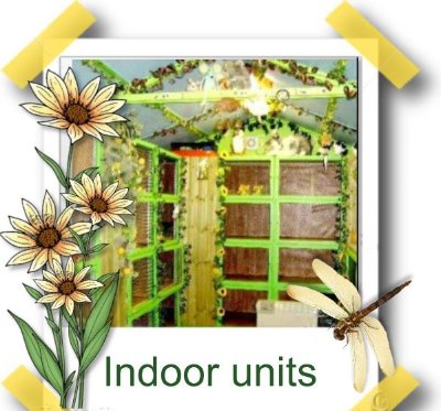 rabbits,guinea pigs,ferrets,chinchillas,hamsters,mice