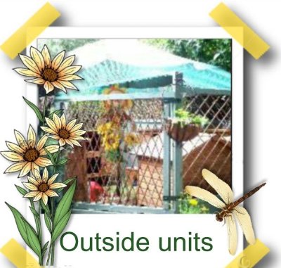 rabbits,guinea pigs,ferrets,chinchillas,hamsters,mice